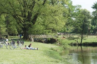 Der Dülmener Wildpark.